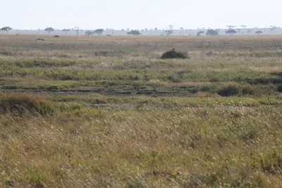 DSC_3821 (Large).JPG